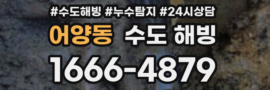 어양동 수도 해빙