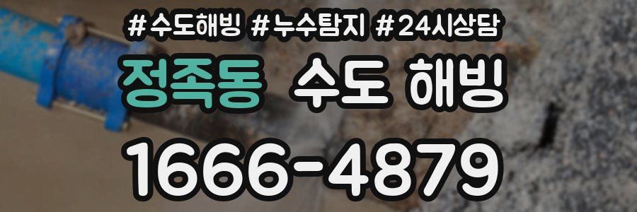 정족동 수도 해빙