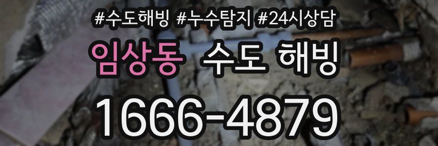 임상동 수도 해빙