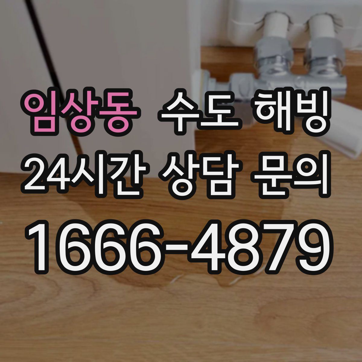 임상동 수도 해빙