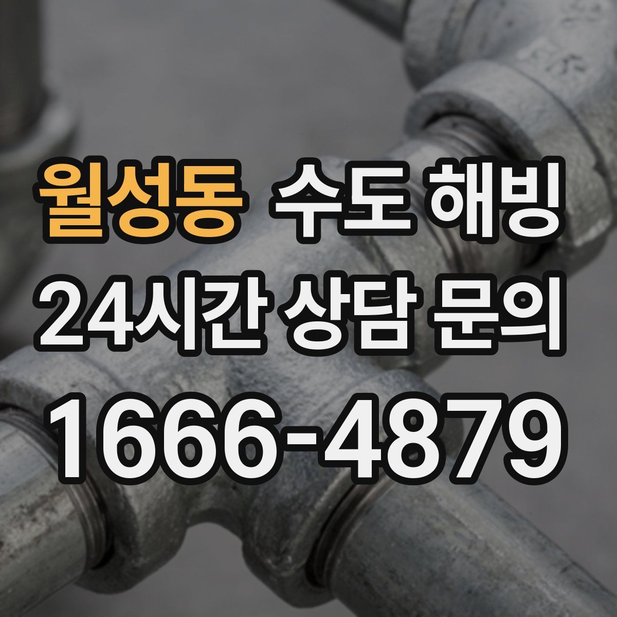 월성동 수도 해빙