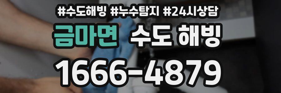 금마면 수도 해빙