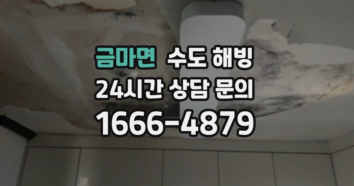 금마면 수도 해빙