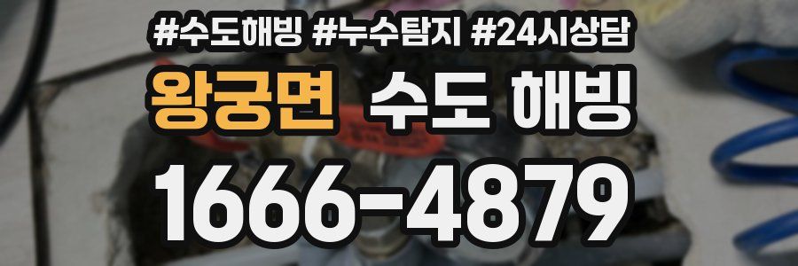 왕궁면 수도 해빙