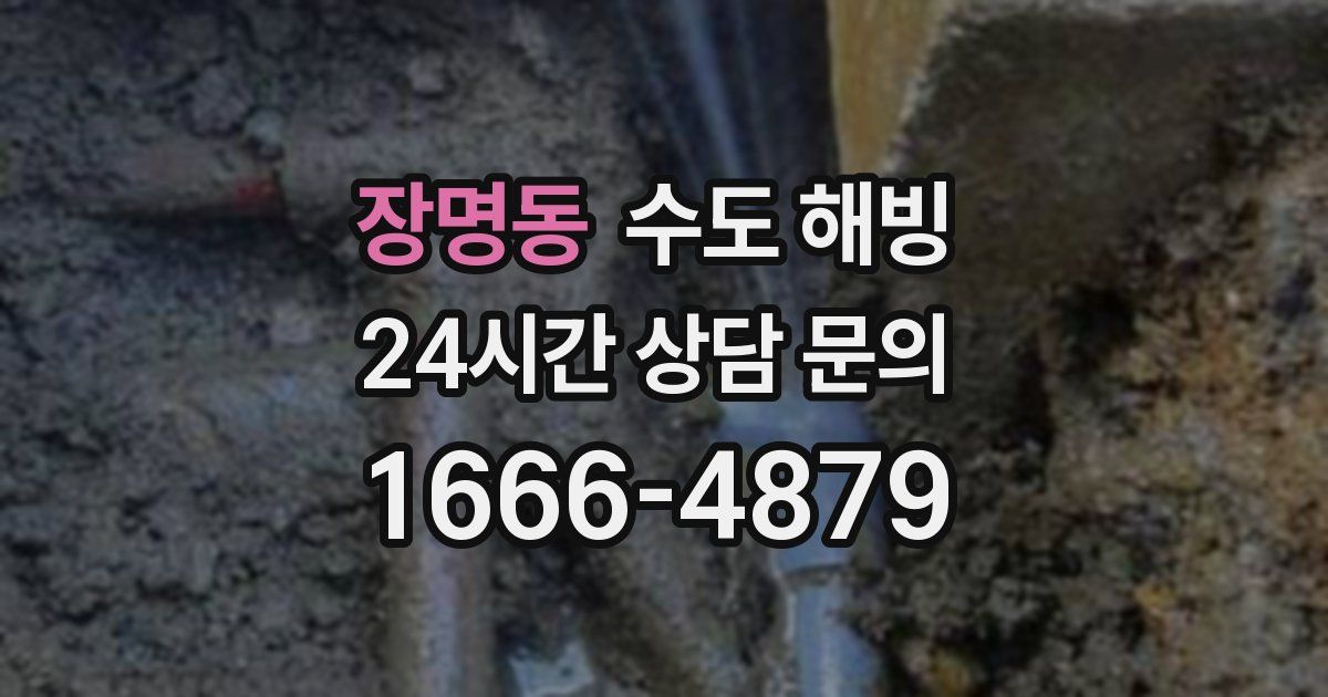 장명동 수도 해빙
