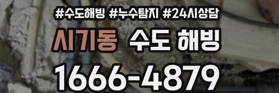 시기동 수도 해빙