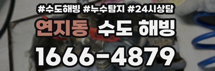연지동 수도 해빙