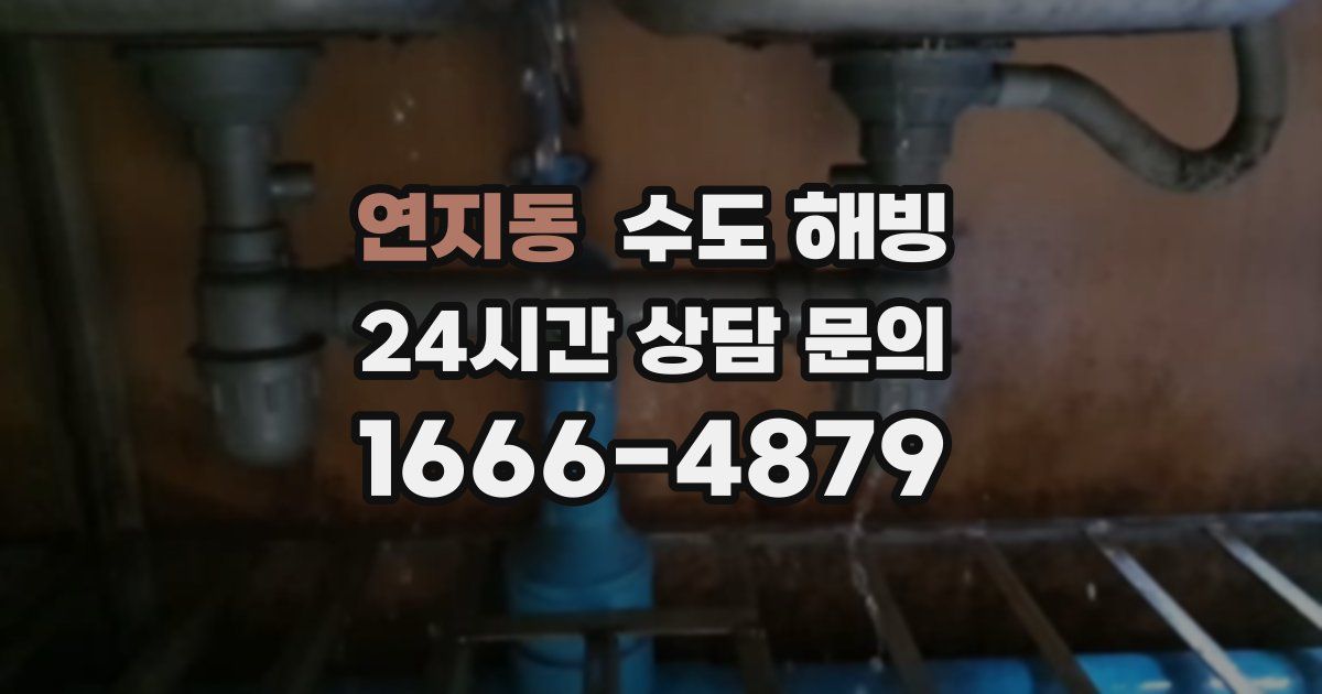 연지동 수도 해빙