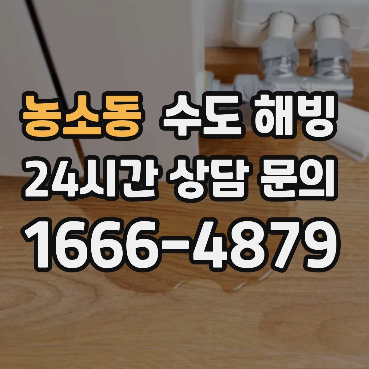 농소동 수도 해빙