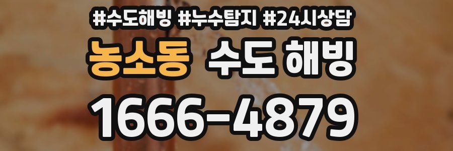 농소동 수도 해빙