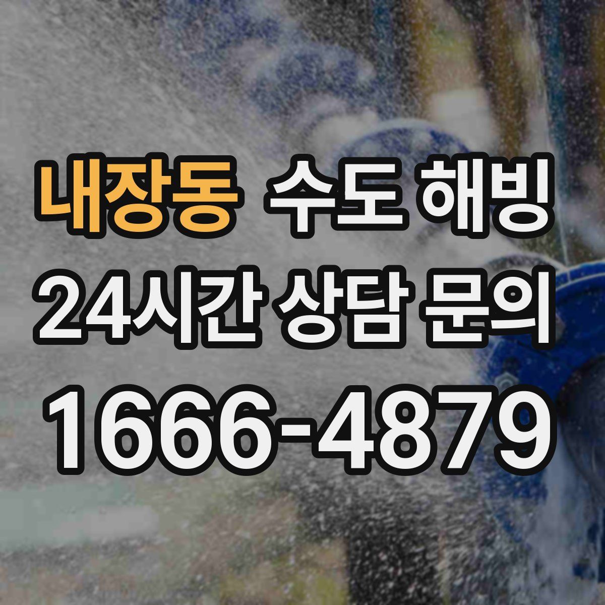 내장동 수도 해빙