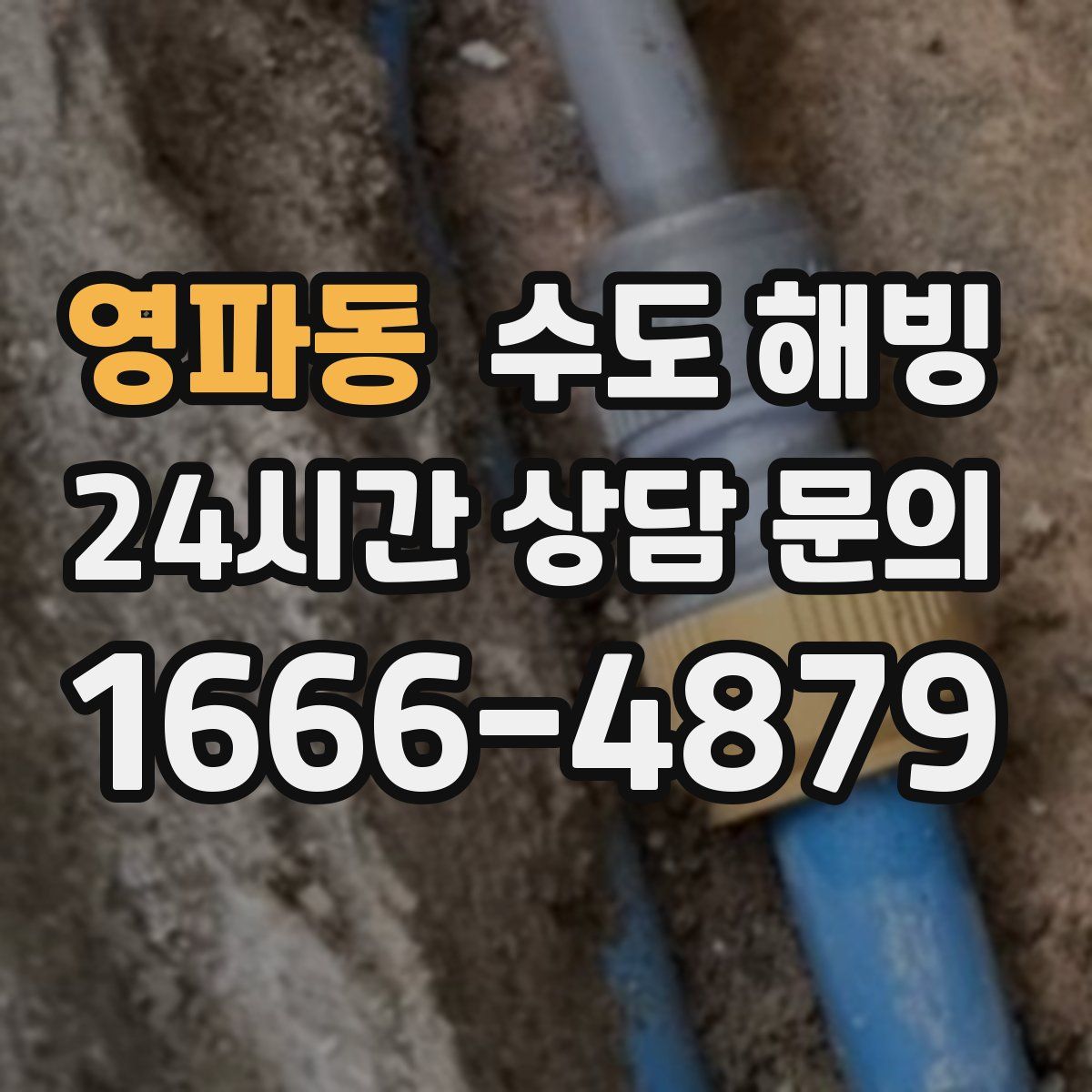 영파동 수도 해빙