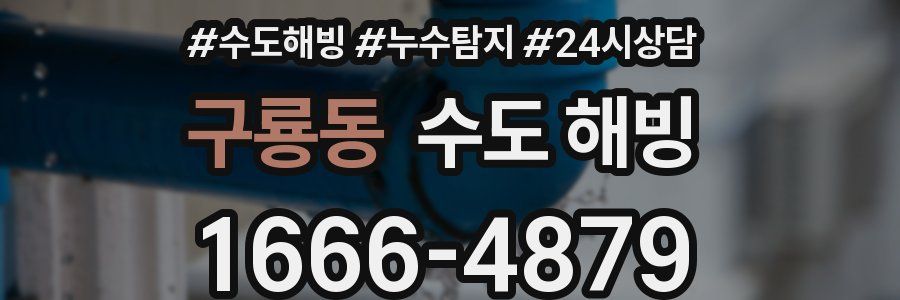 구룡동 수도 해빙