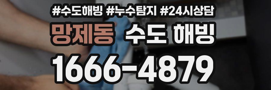 망제동 수도 해빙