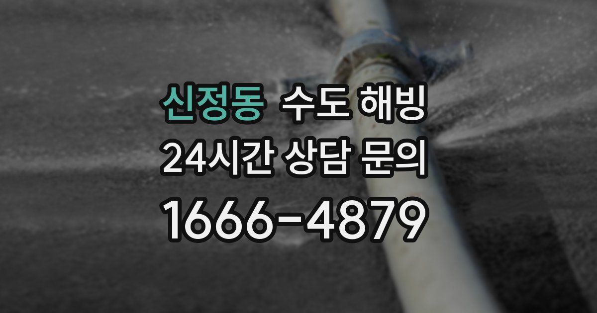 신정동 수도 해빙