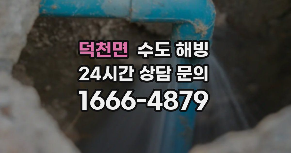 덕천면 수도 해빙