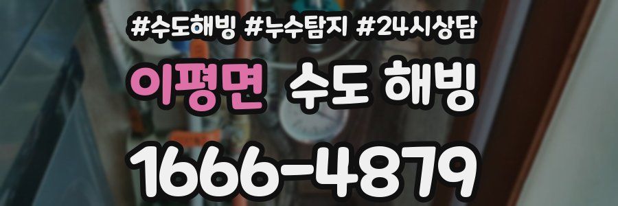 이평면 수도 해빙