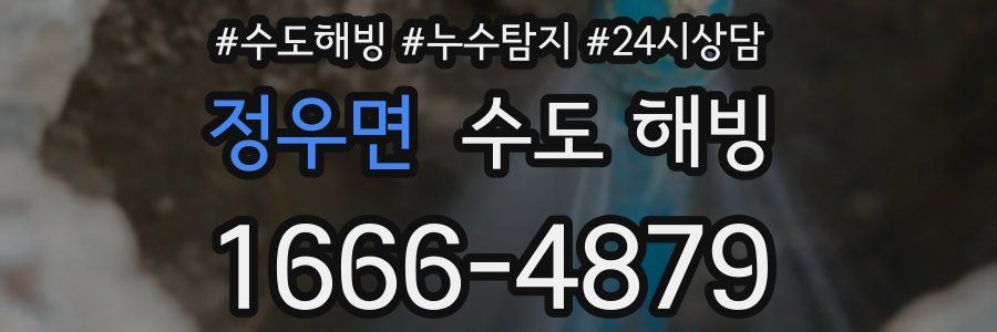 정우면 수도 해빙