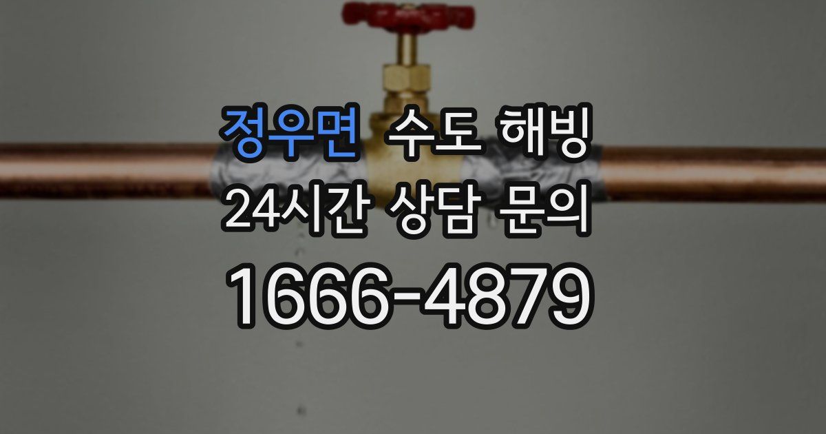 정우면 수도 해빙