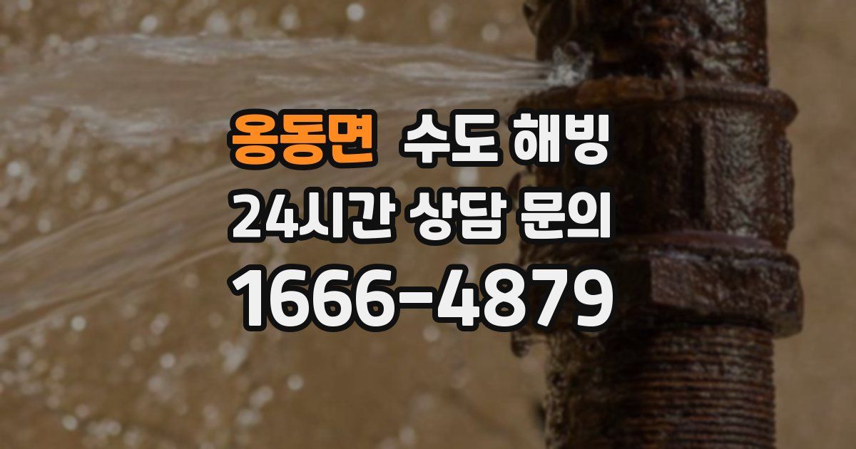 옹동면 수도 해빙