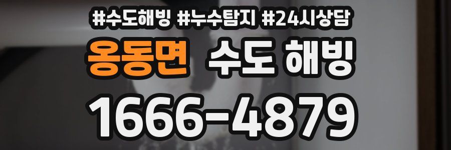 옹동면 수도 해빙