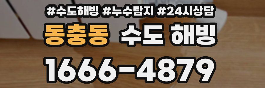 동충동 수도 해빙