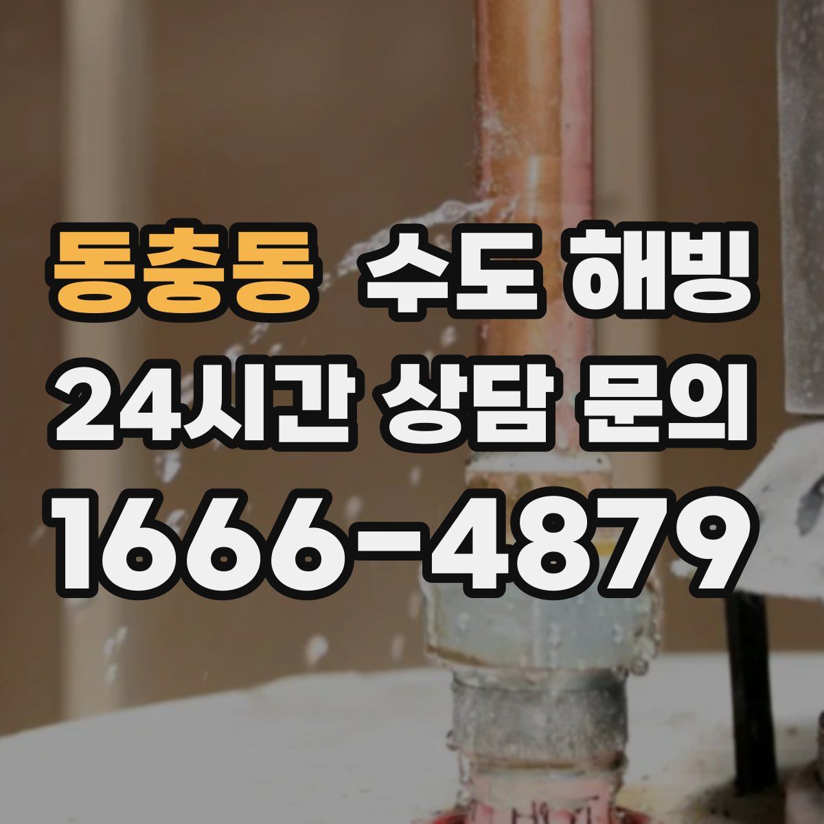 동충동 수도 해빙