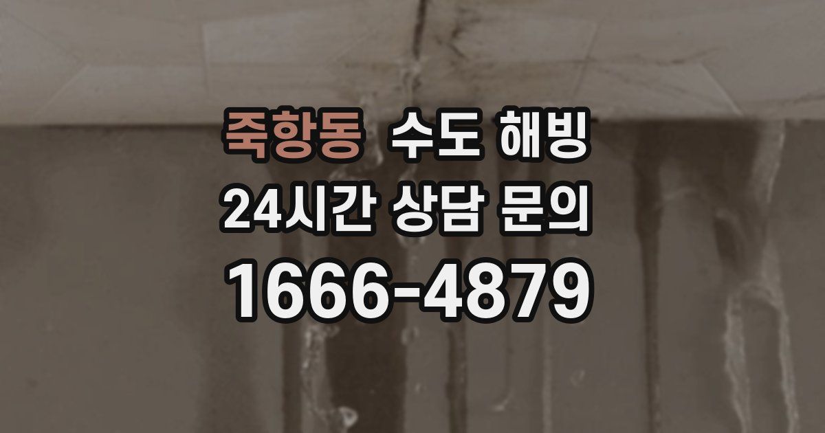 죽항동 수도 해빙