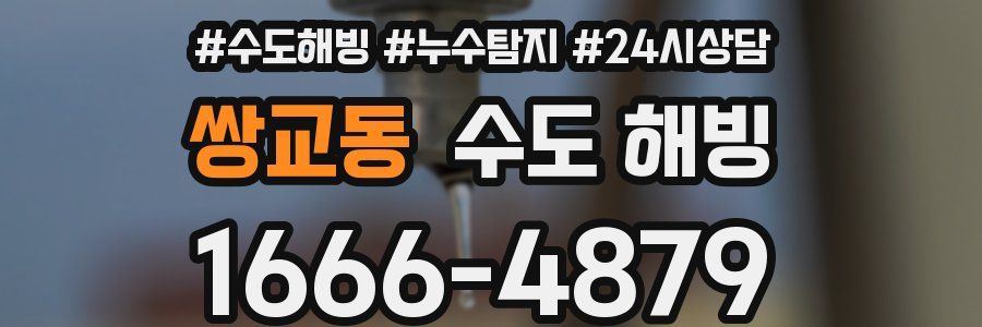 쌍교동 수도 해빙