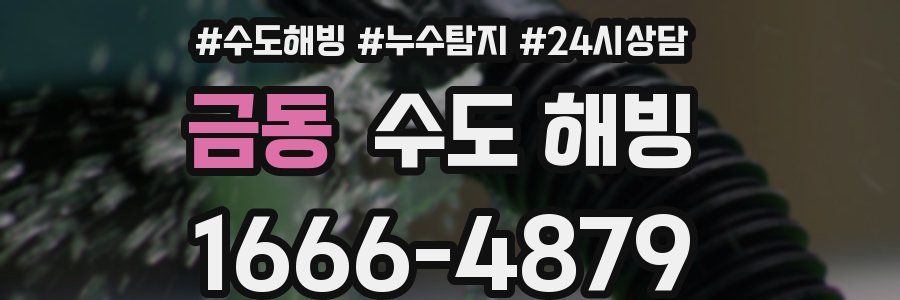 금동 수도 해빙