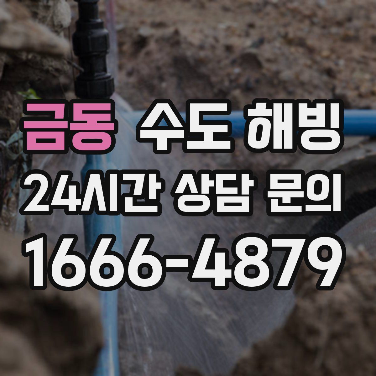 금동 수도 해빙