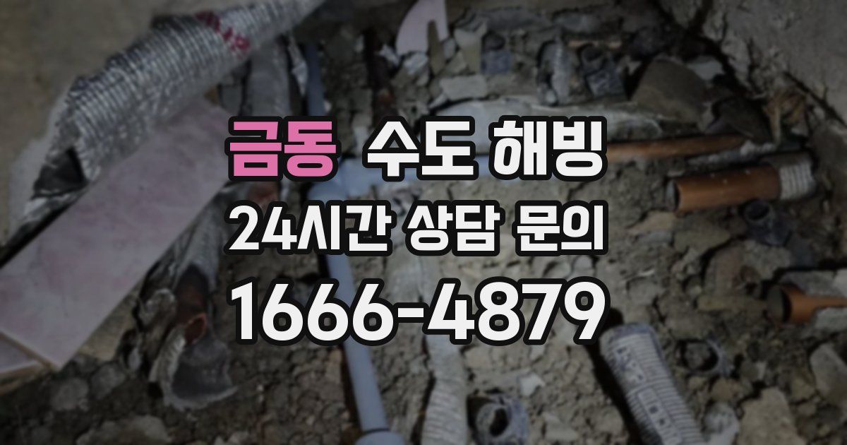 금동 수도 해빙