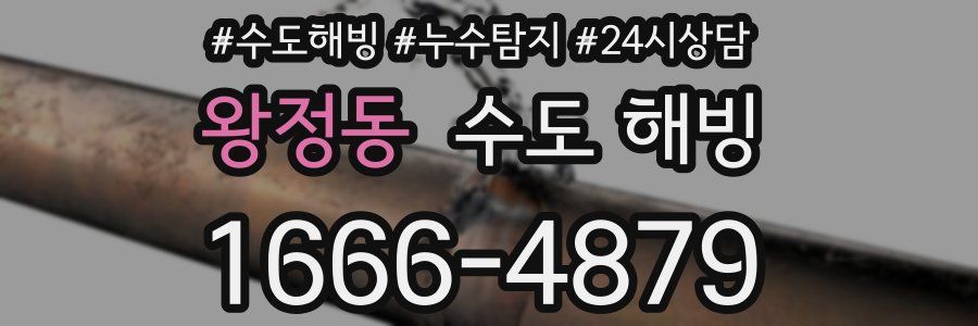 왕정동 수도 해빙