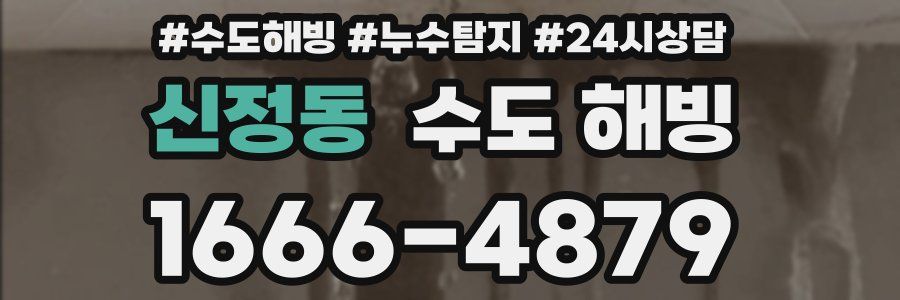 신정동 수도 해빙