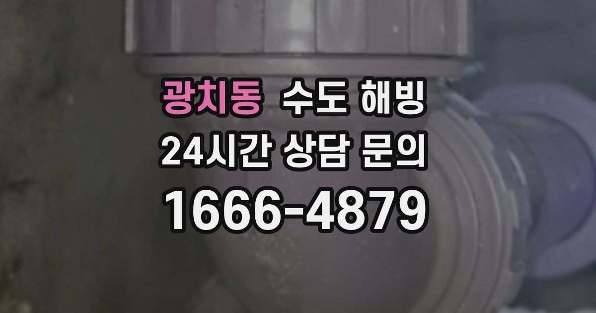 광치동 수도 해빙