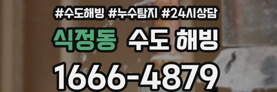 식정동 수도 해빙