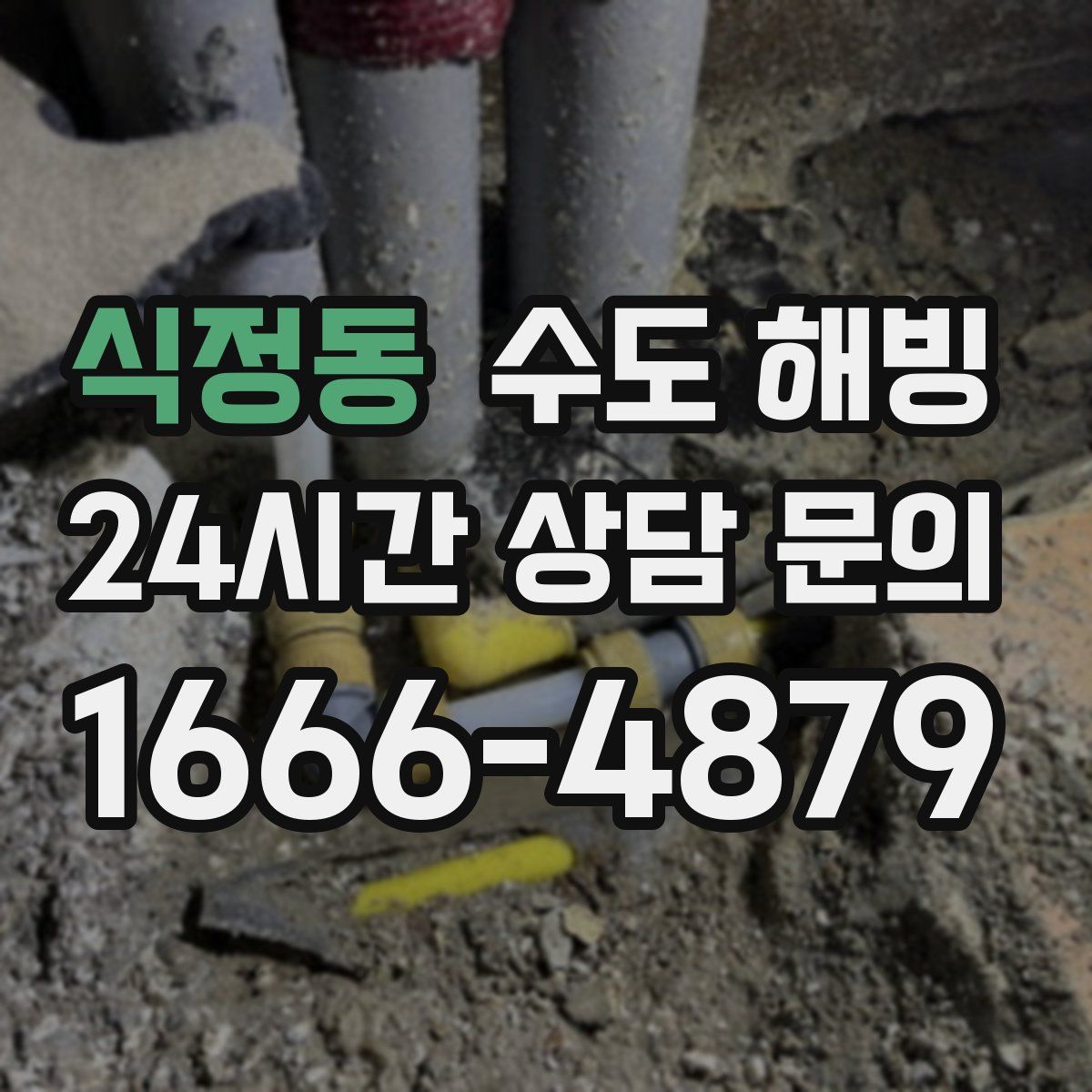 식정동 수도 해빙