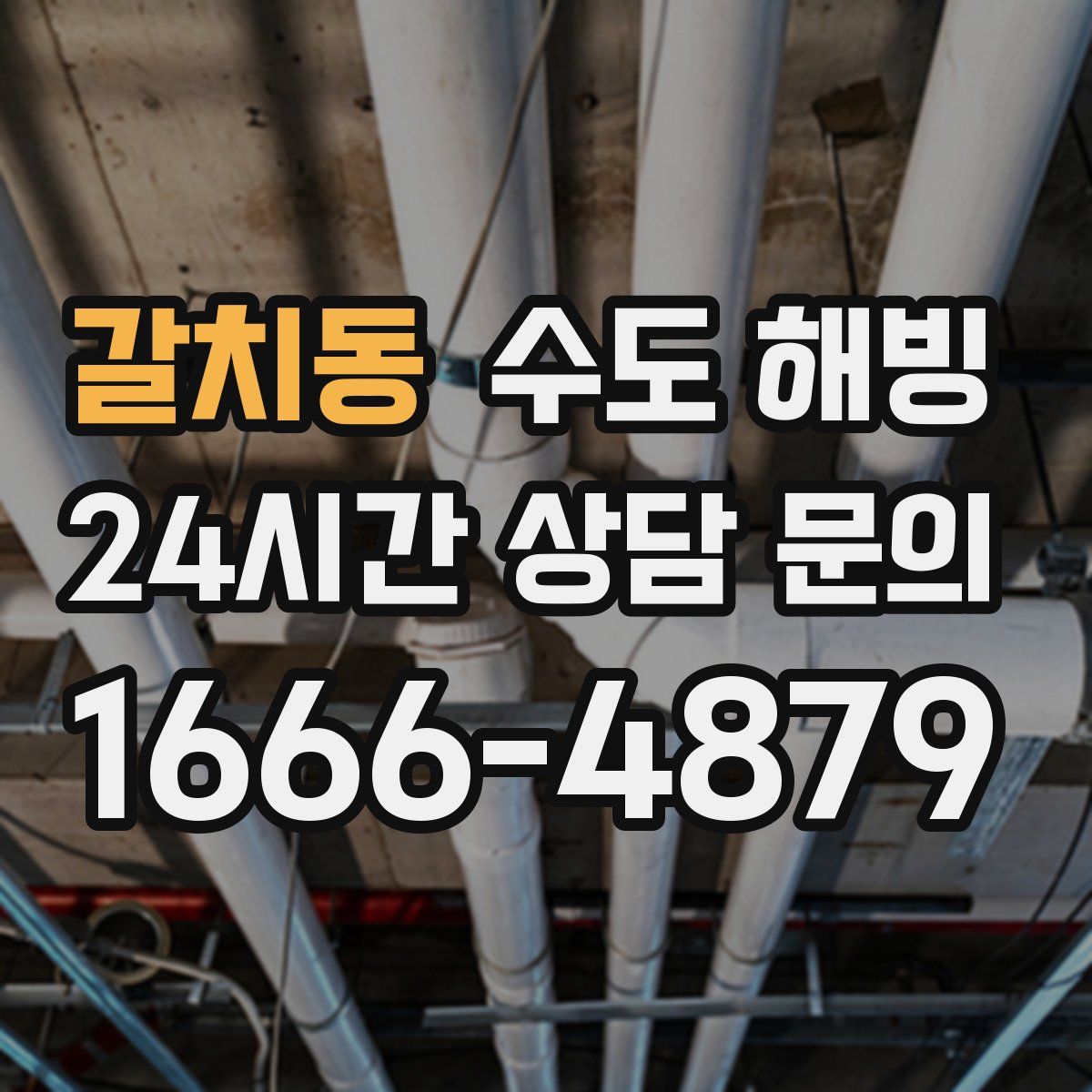 갈치동 수도 해빙