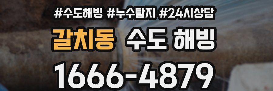 갈치동 수도 해빙