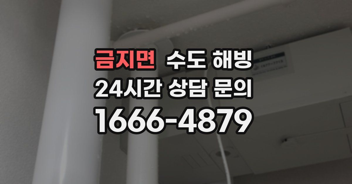 금지면 수도 해빙