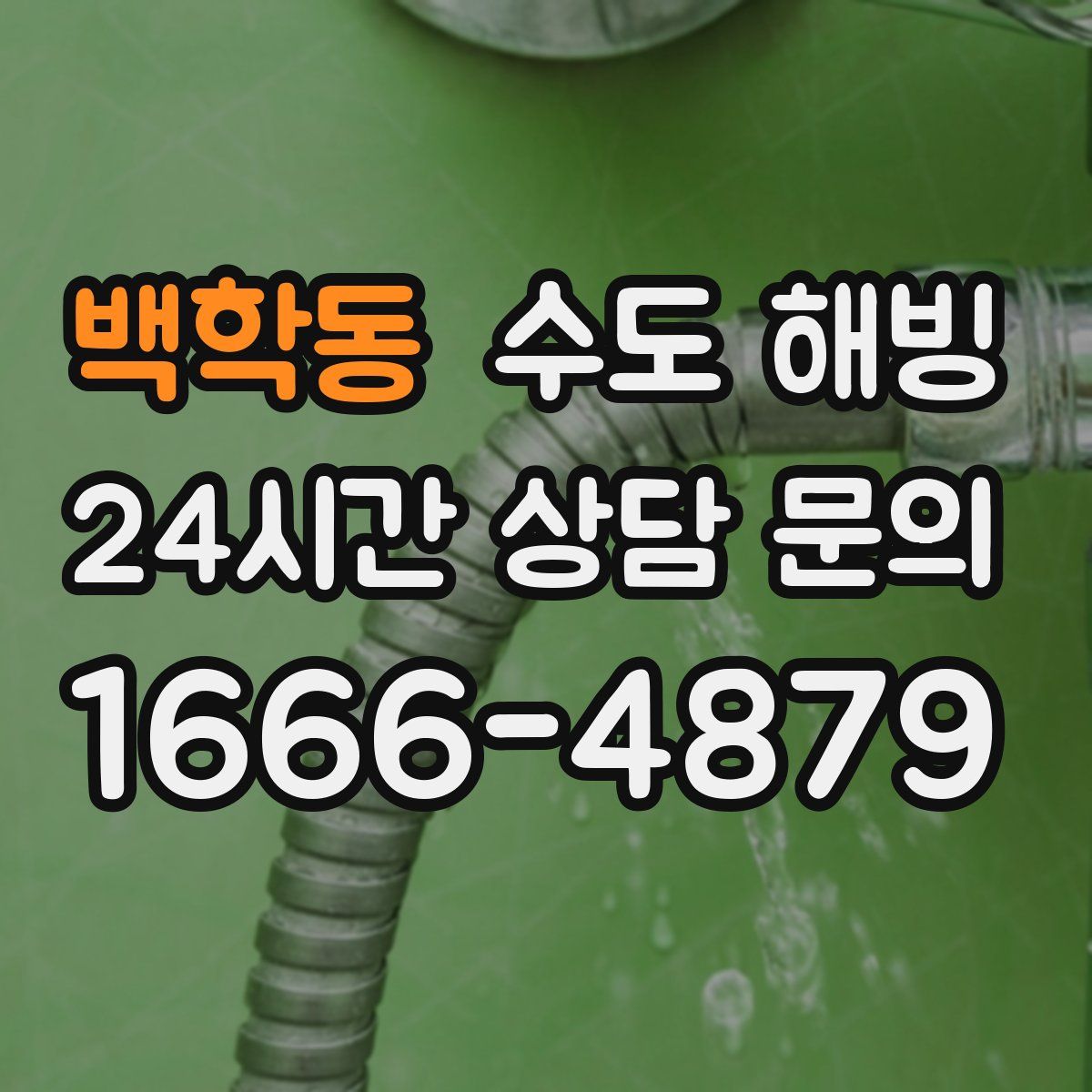 백학동 수도 해빙