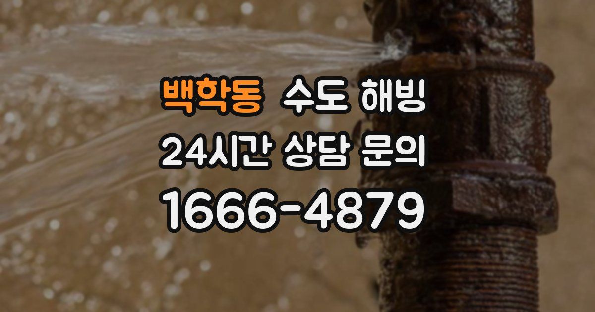 백학동 수도 해빙