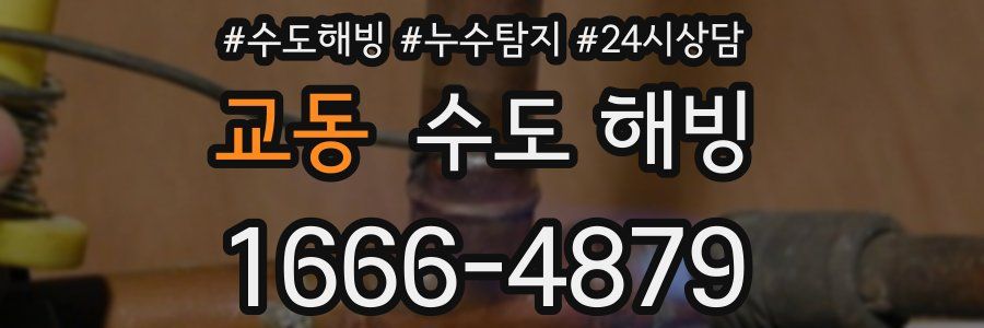 교동 수도 해빙