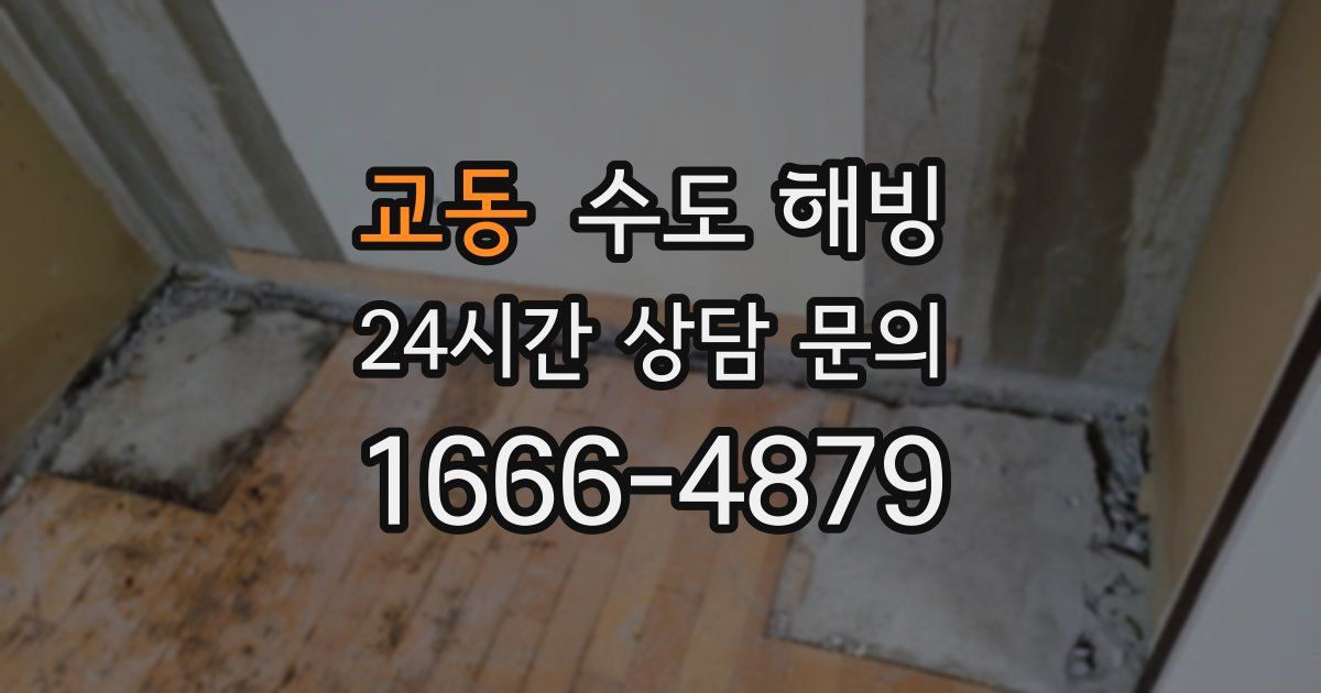 교동 수도 해빙