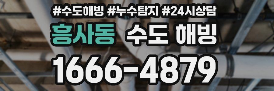 흥사동 수도 해빙