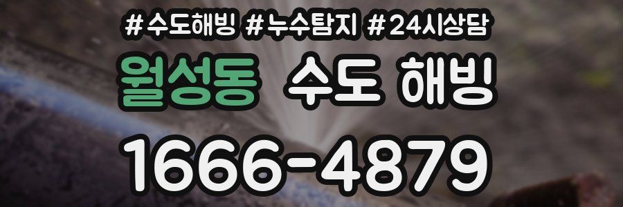 월성동 수도 해빙