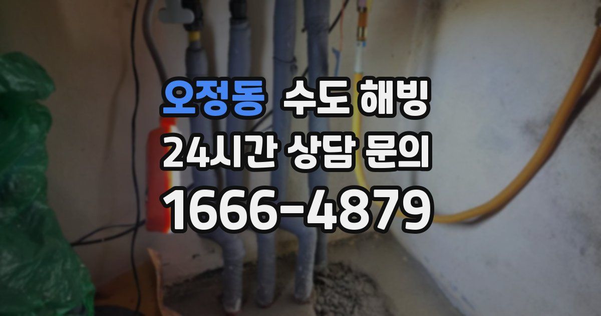 오정동 수도 해빙