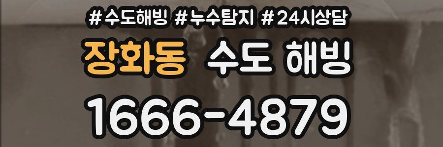 장화동 수도 해빙