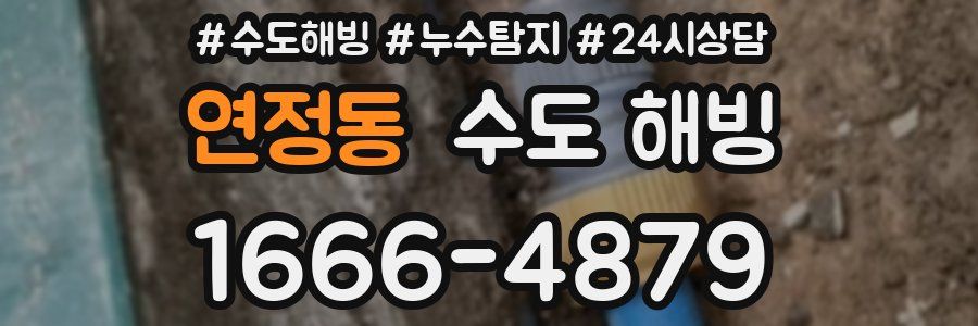 연정동 수도 해빙