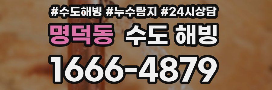 명덕동 수도 해빙